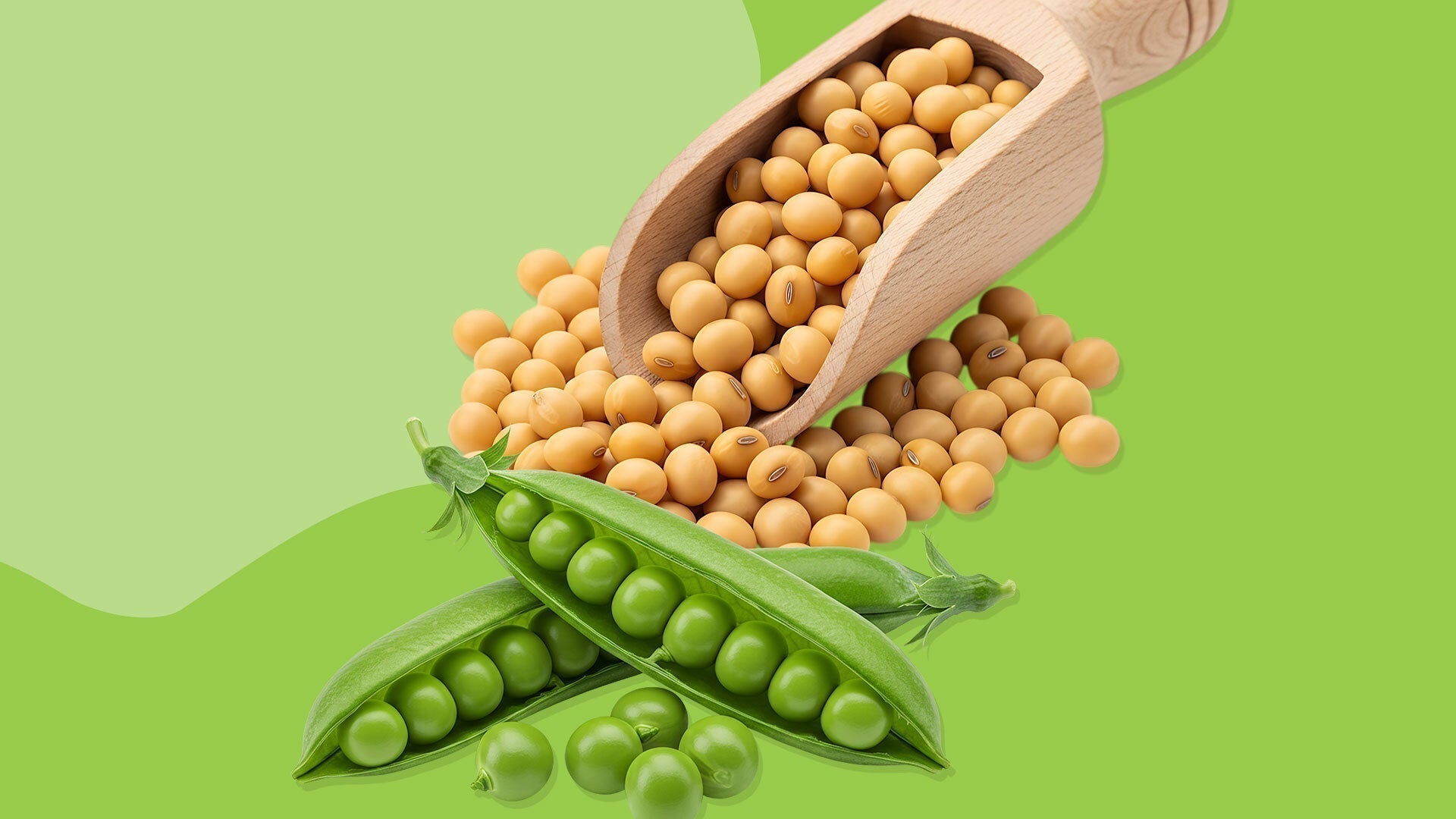 Plant-based proteins: All about our MVPs, soy and pea protein